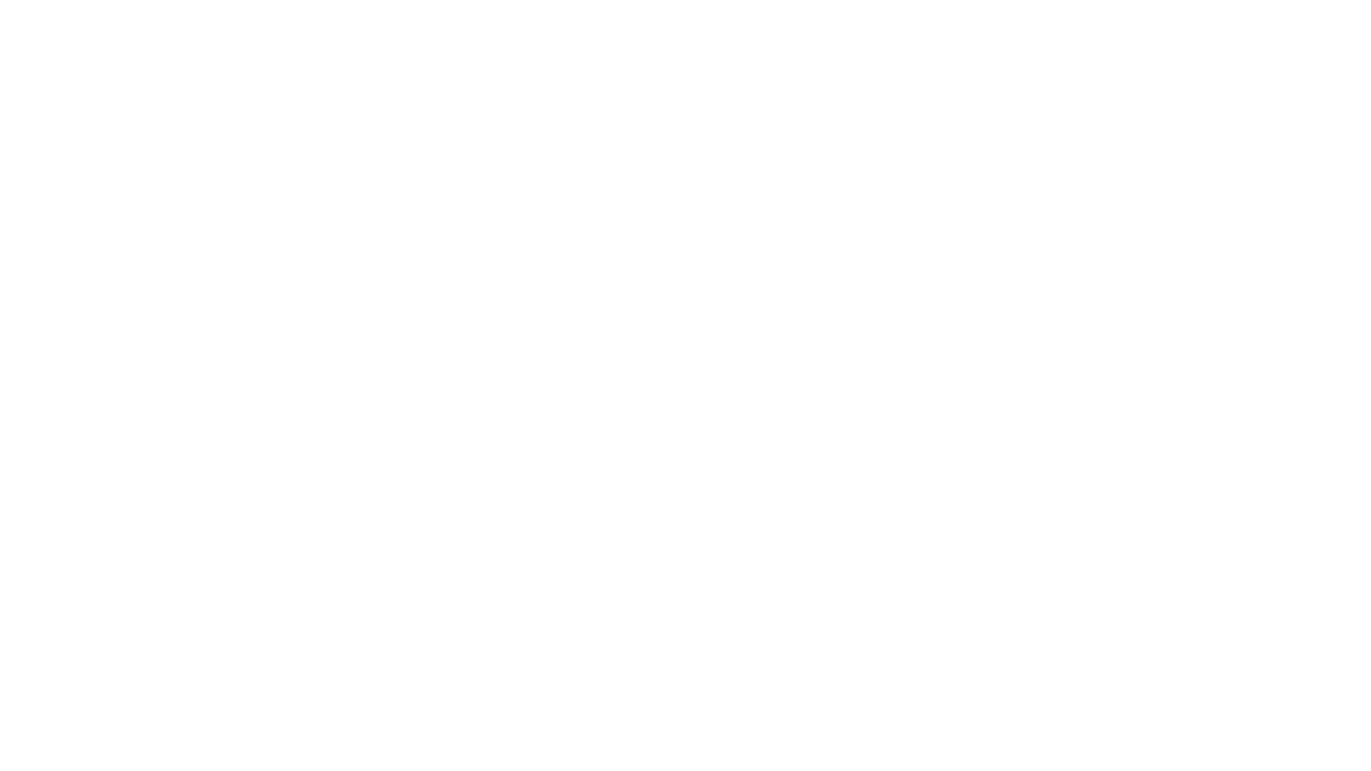 Heinz Rink